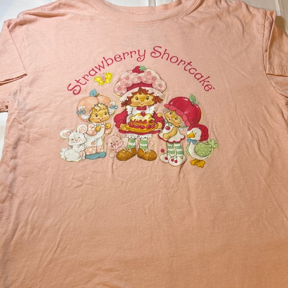 Strawberry Shortcake T-Shirt - cat Bunny large